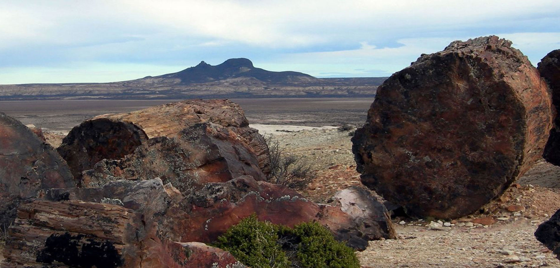 La Leona Petrified Forest - 1