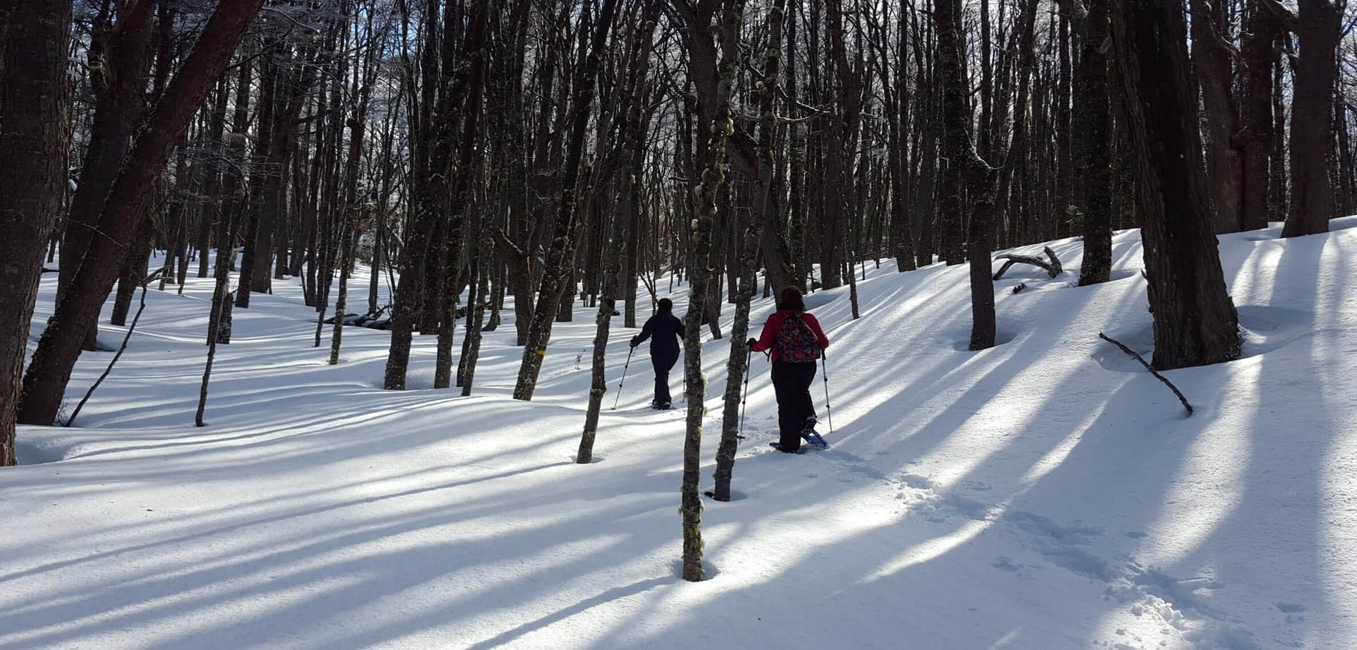 Full Day Snow