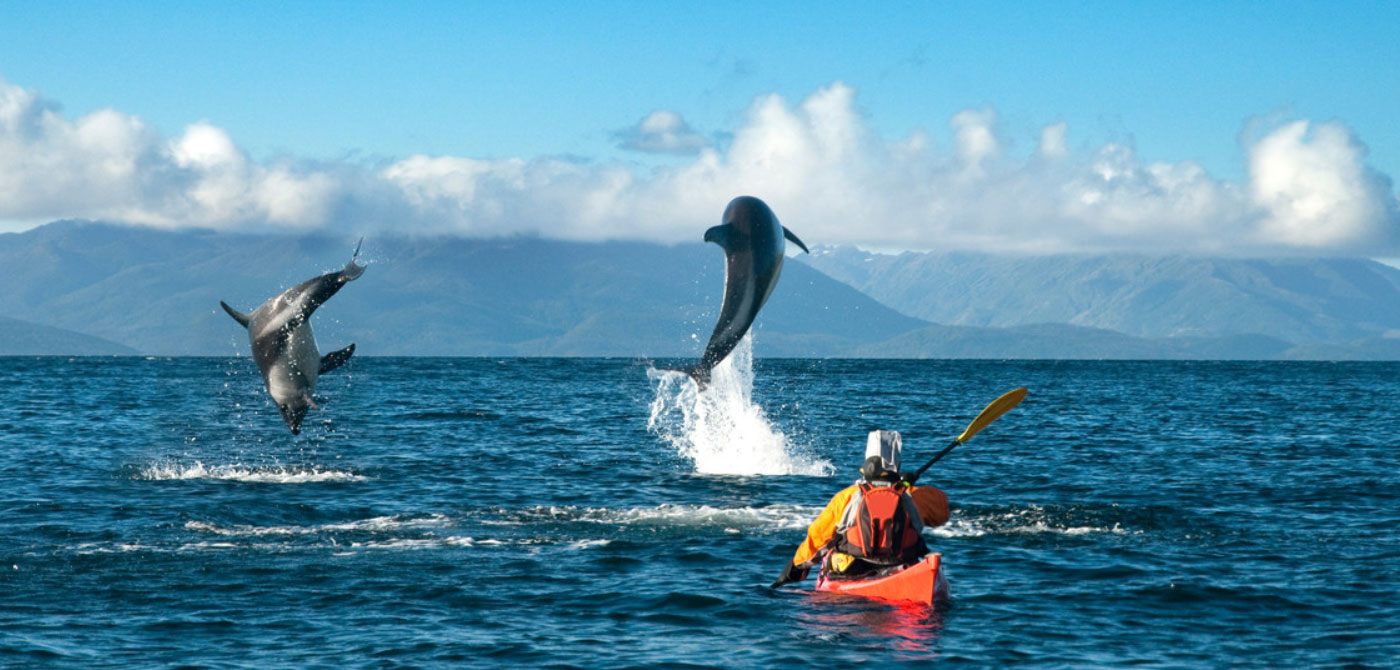 Kayaking in the Strait of Magellan