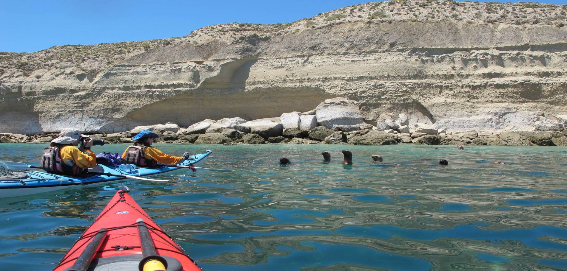 Kayaking in Puerto Pirámides
