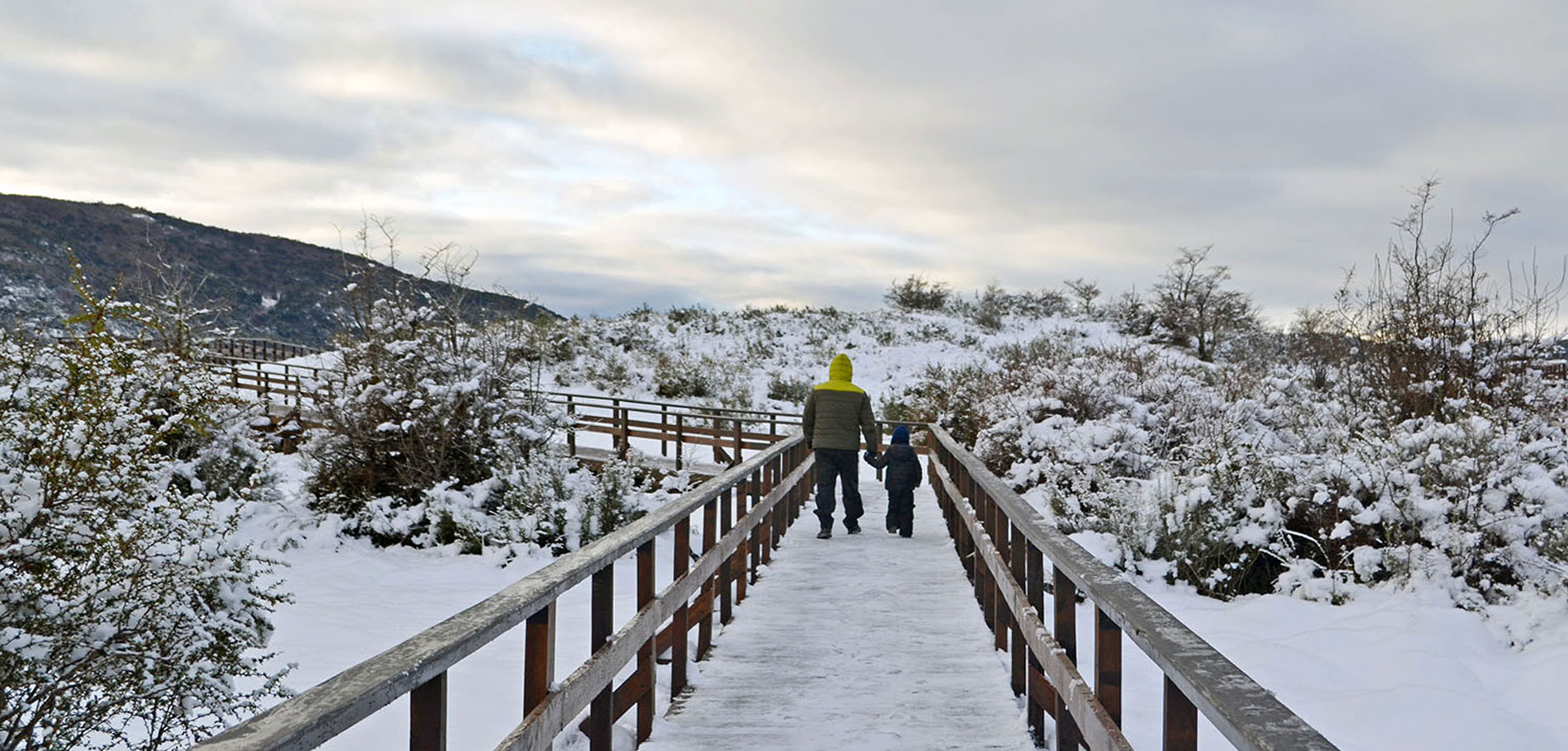 Winter National Park
