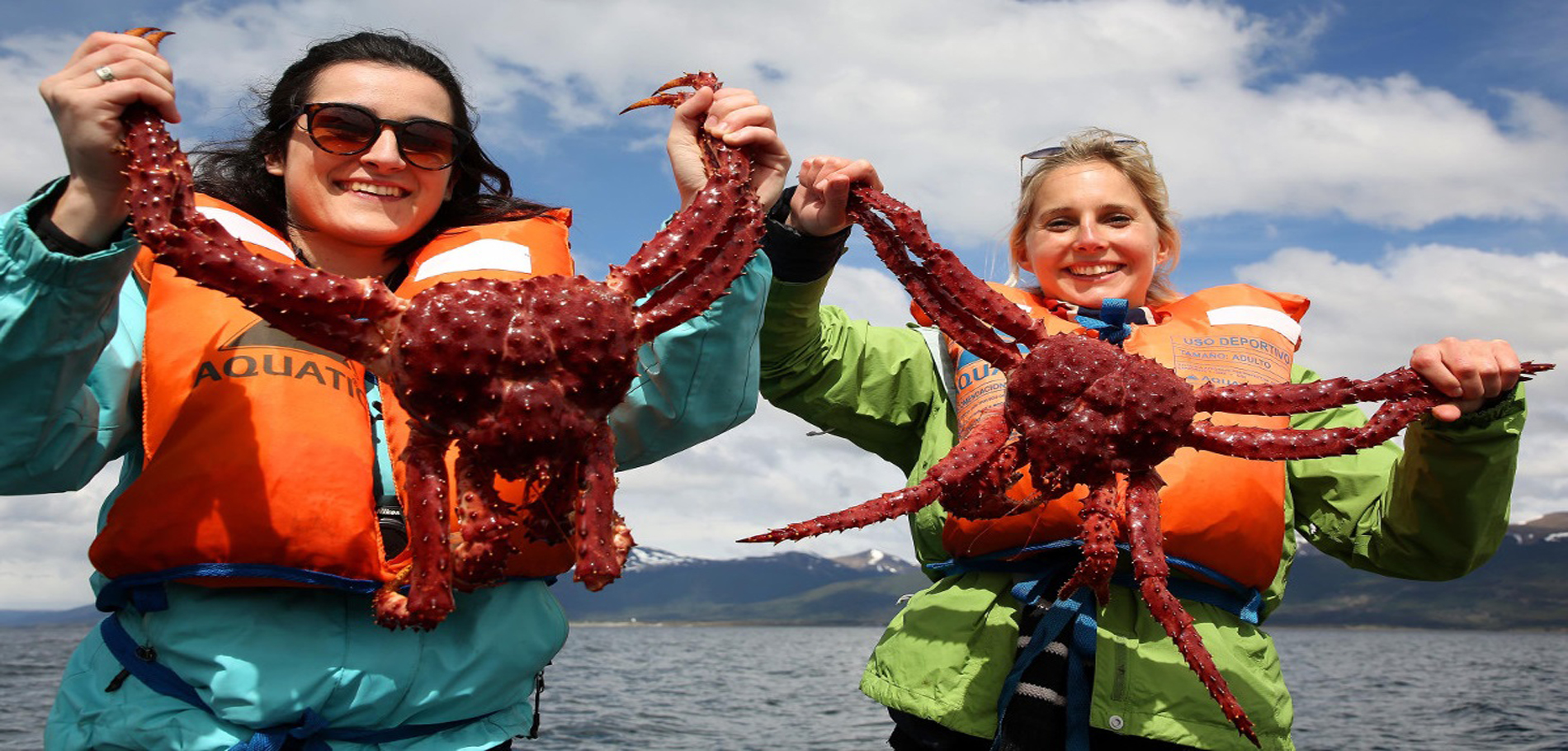 Spider Crab Fishing
