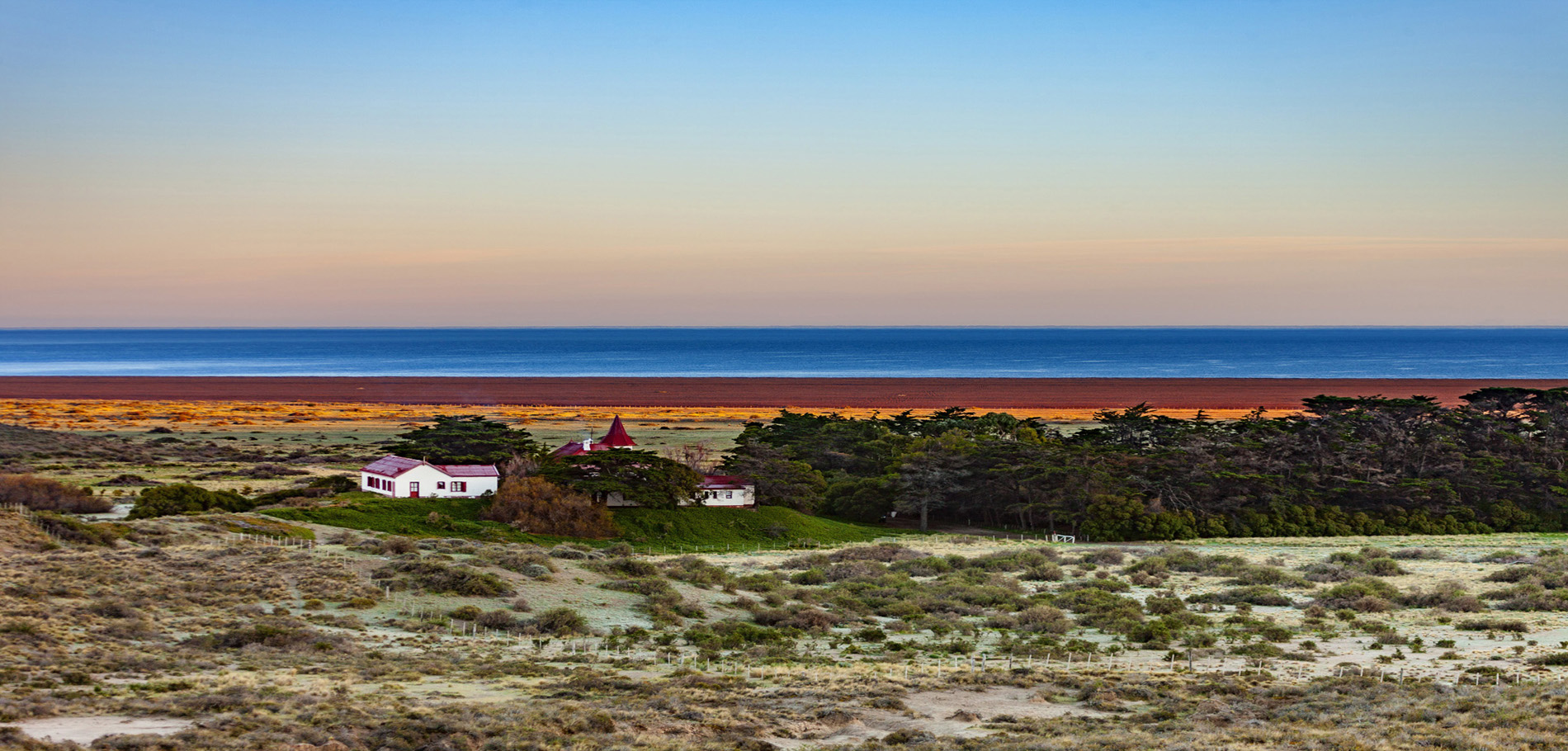 El Pedral Penguin Colony
