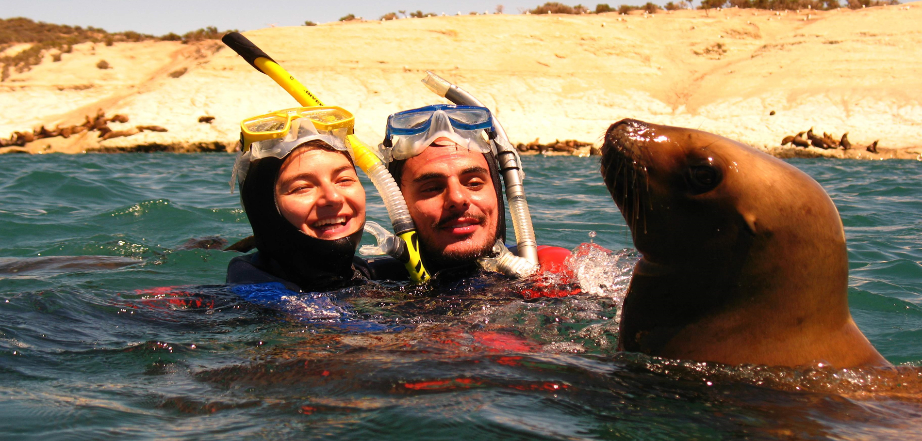 Snorkeling with Sea Lions - 1