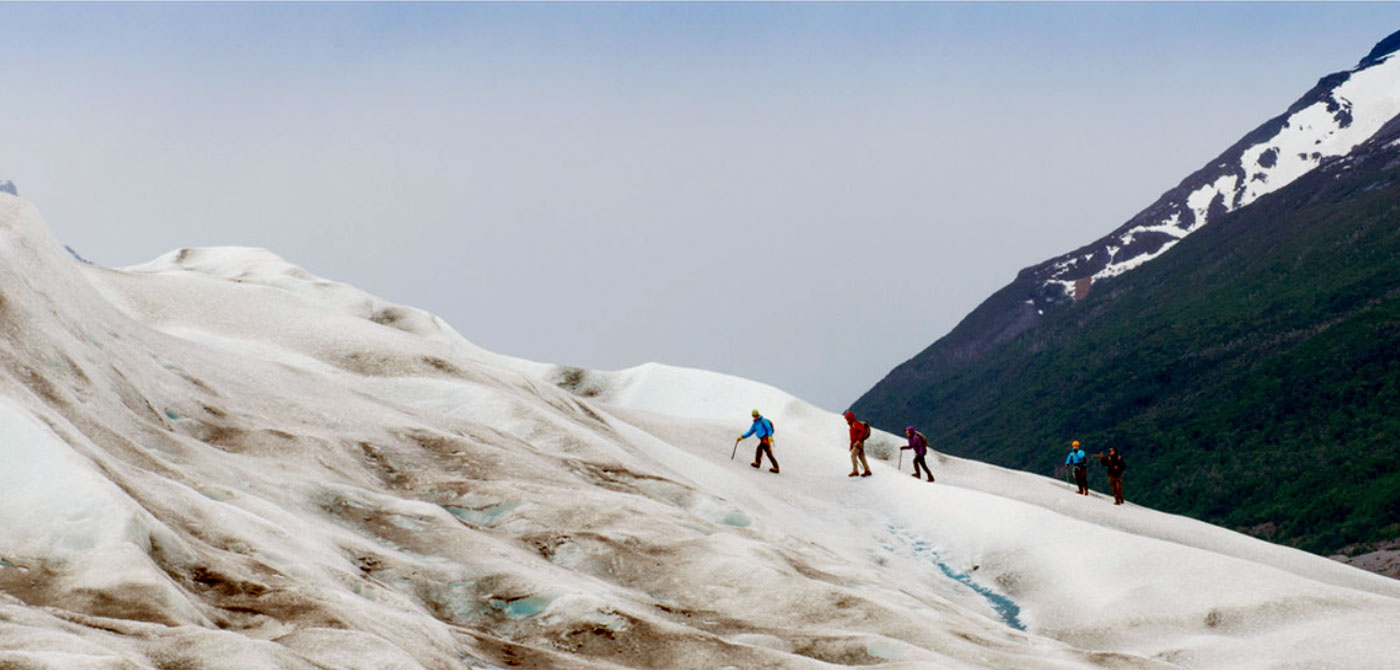 Grey Glacier Trekking