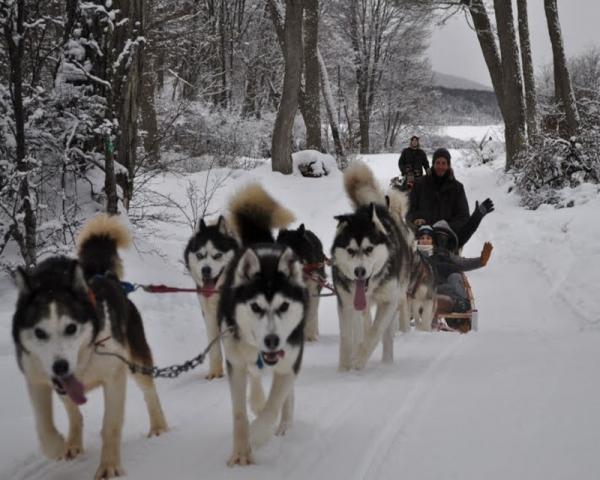 PASE EN TRINEO CON HUSKYS